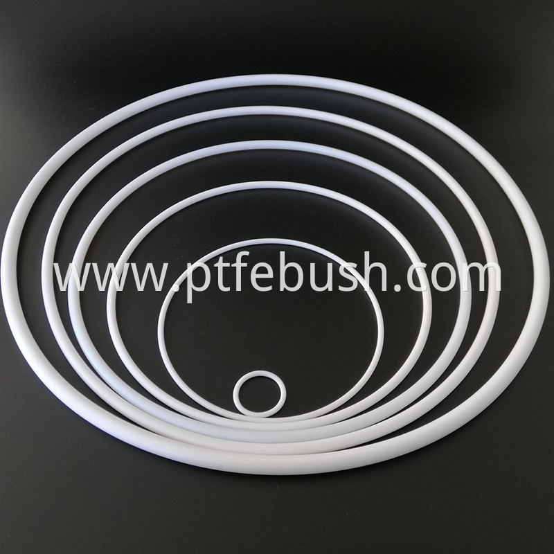 Ptfe O Ring 11